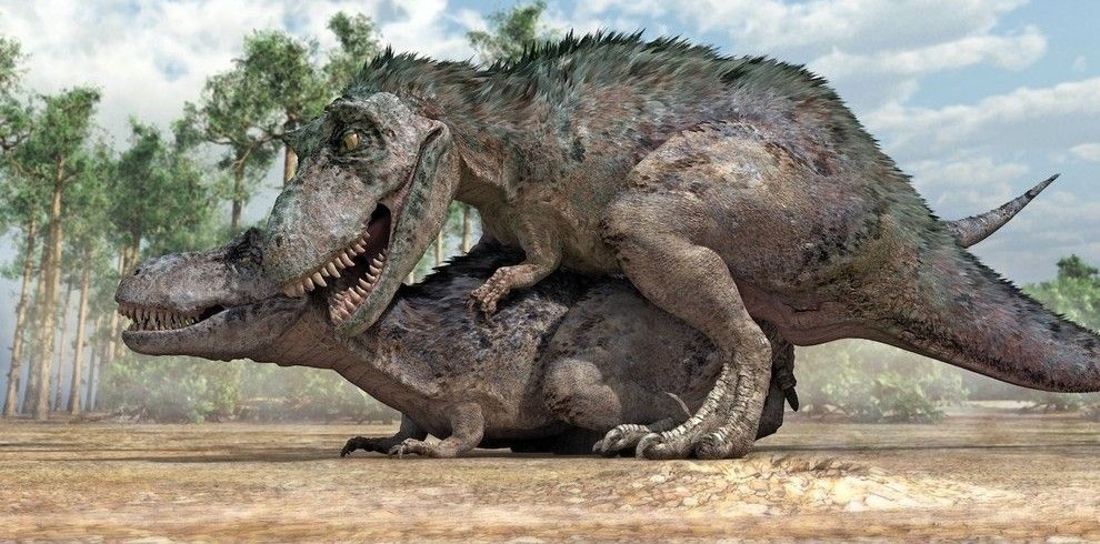 top 10 smallest dinosaurs