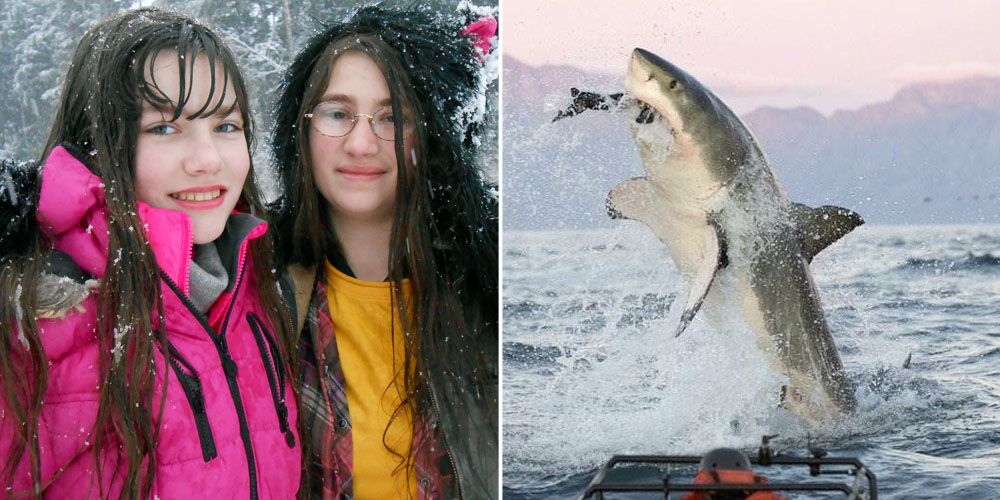 Discovery Channel Shows >> Most Fake Discovery Channel Shows And Ones With Some Truth Discovery Channel Shows >> Most Fake Discovery Channel Shows And Ones With Some Truth