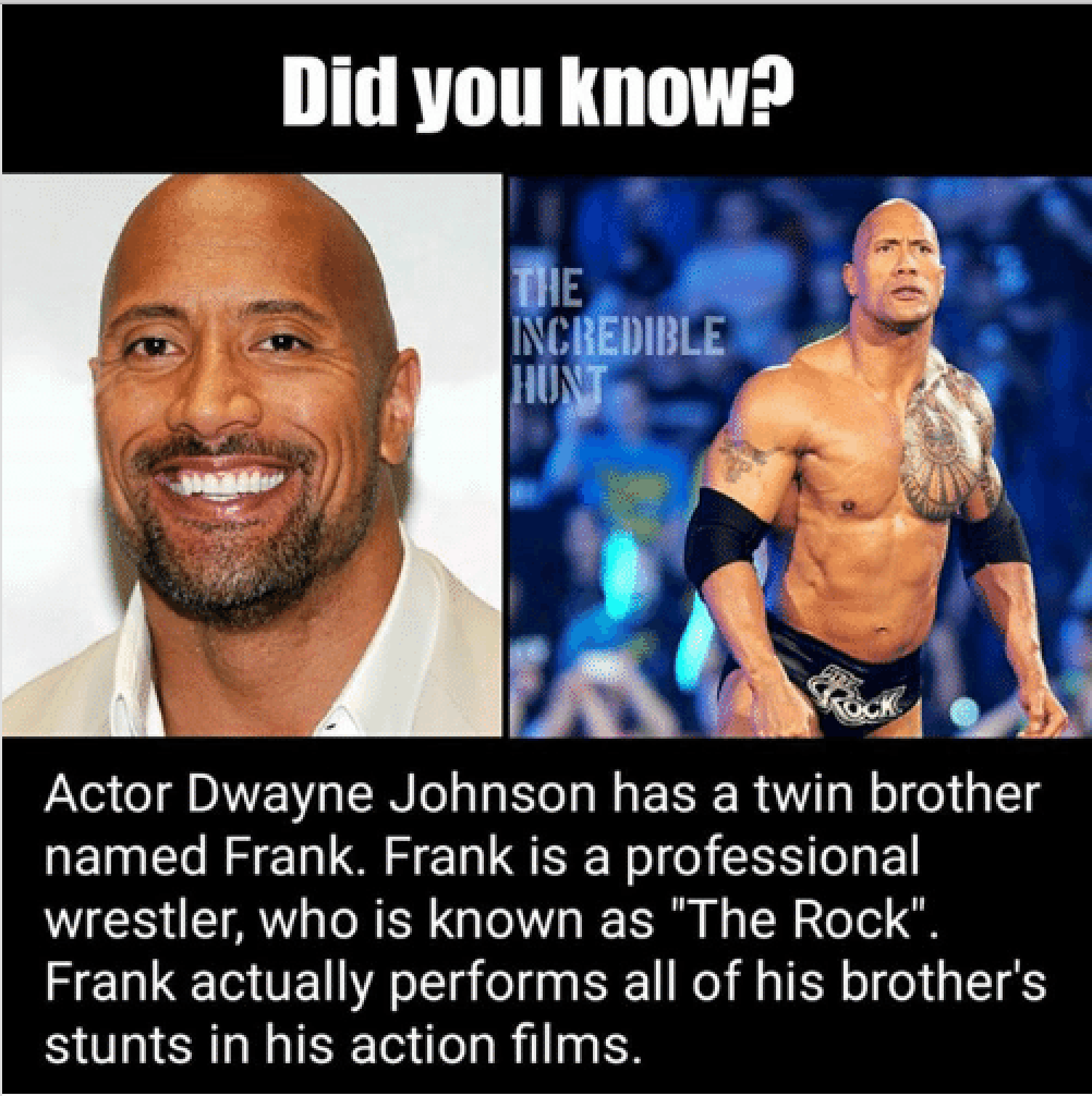 10 Dwayne Johnson Memes That Are Too Hilarious For Words Laptrinhx