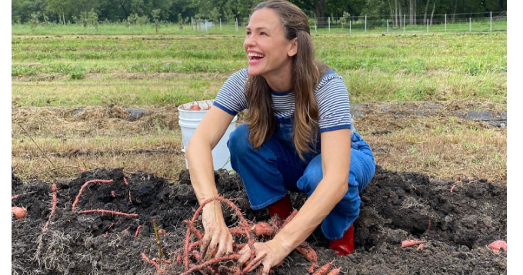 Inside Jennifer Garner's 'Once Upon A Farm' Food Business